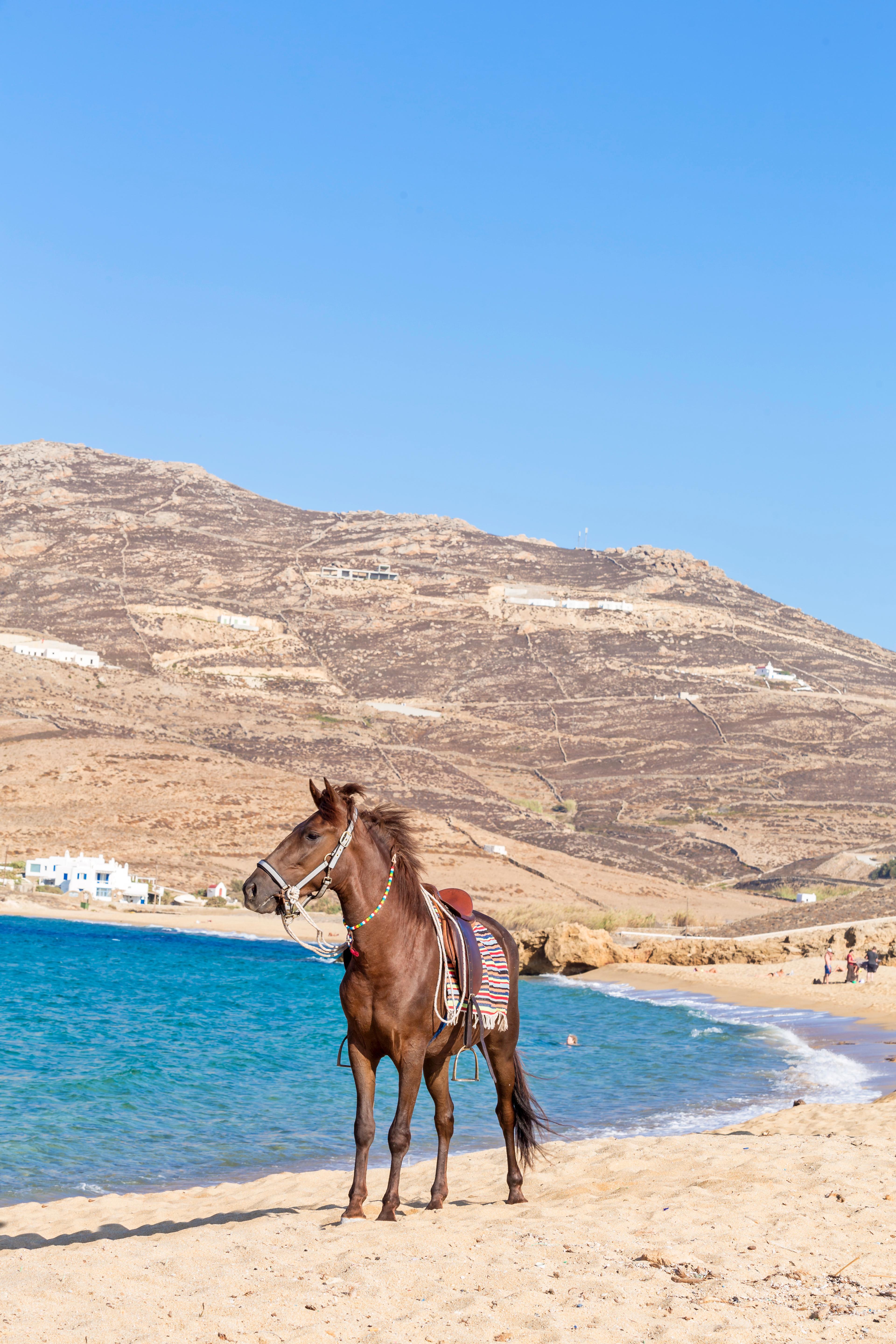 Anamar Mykonos Natural Retreat فتيليا المظهر الخارجي الصورة