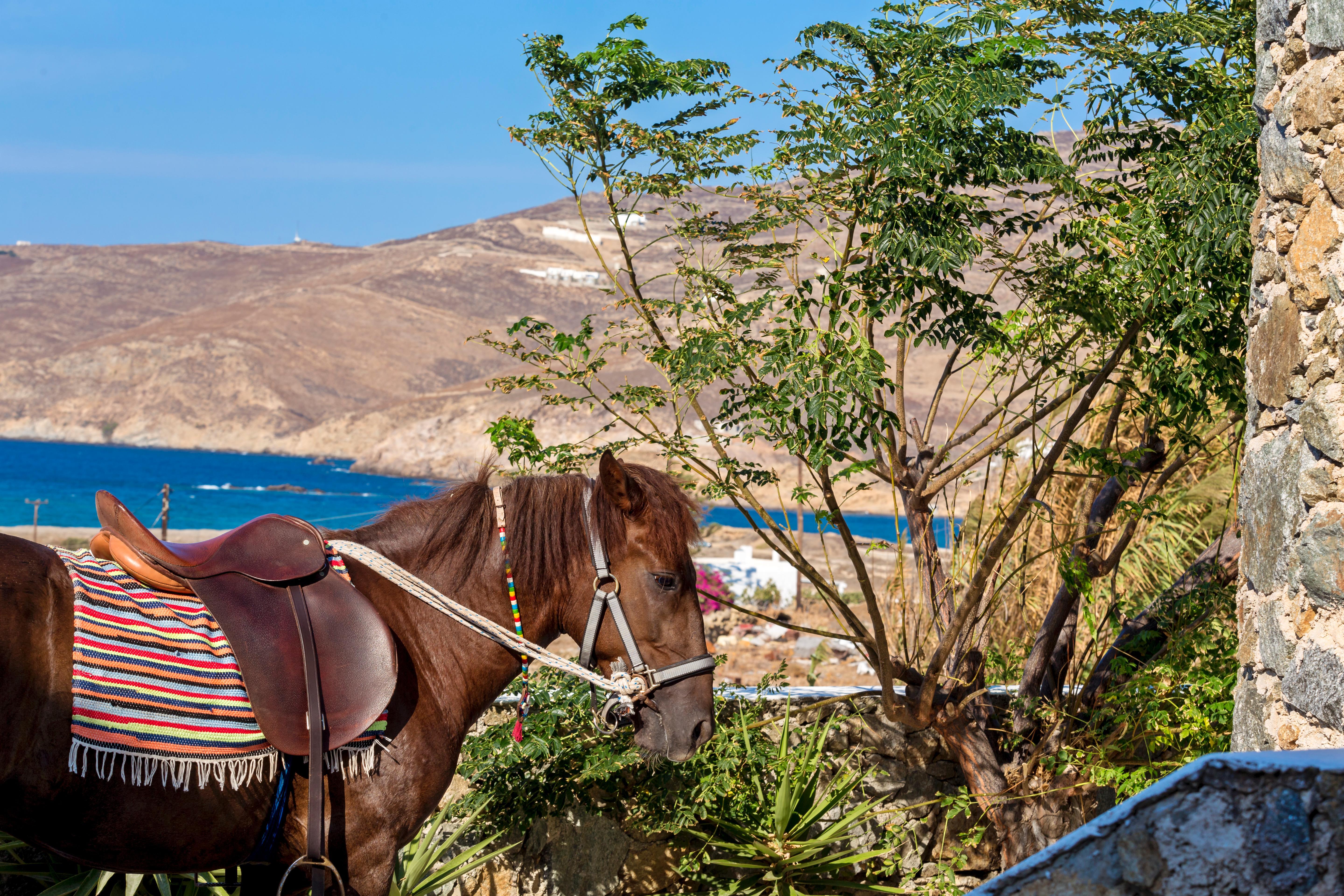Anamar Mykonos Natural Retreat فتيليا المظهر الخارجي الصورة